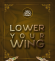 Lower your Wing